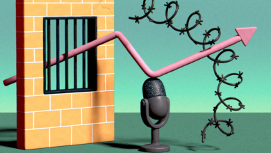 How the Serial podcast led to a true crime boom, which changed criminal justice
