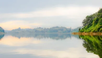 Archiving Ancestral Knowledge to Co-Create New Economic Paradigms