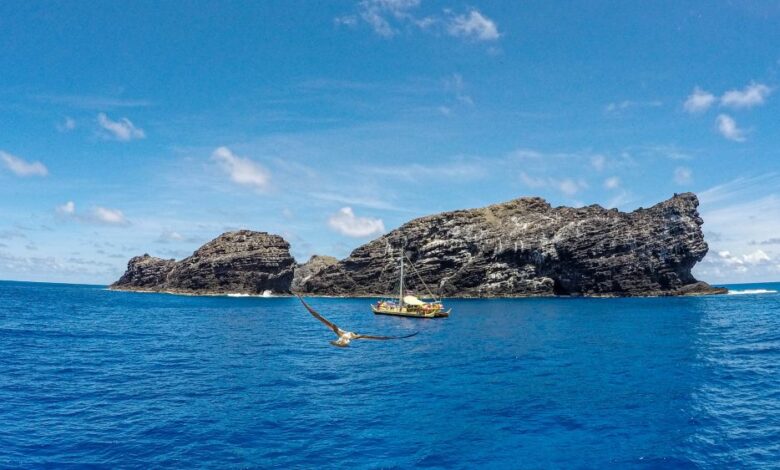 Navigating How We Care for Our Ocean