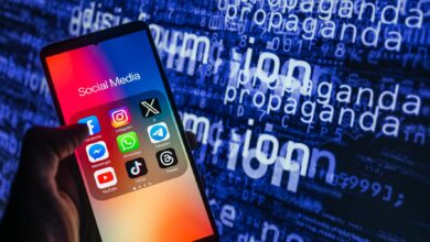 How disinformation defined the 2024 election narrative