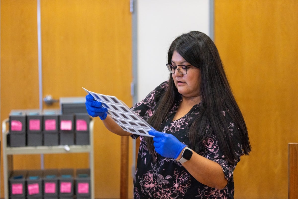 Woman wearing blue gloves while holding a sheet of photo negatives.