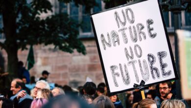 Climate Change in the Media: Public Perception and the Responsibility of News Outlets