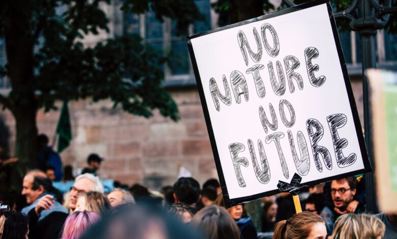 Climate Change in the Media: Public Perception and the Responsibility of News Outlets Climate Change in the Media: Public Perception and the Responsibility of News Outlets