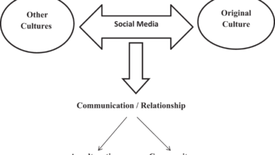 Effect of social media usage on the cultural identity of rural people: a case study of Bamha village, Egypt