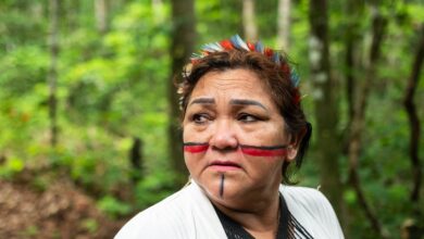 Why investigative journalism should spark change in the world