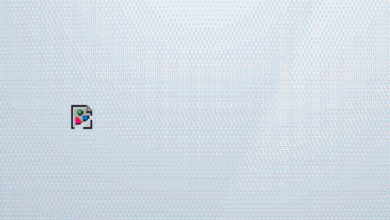 Branding in the Age of Social Media