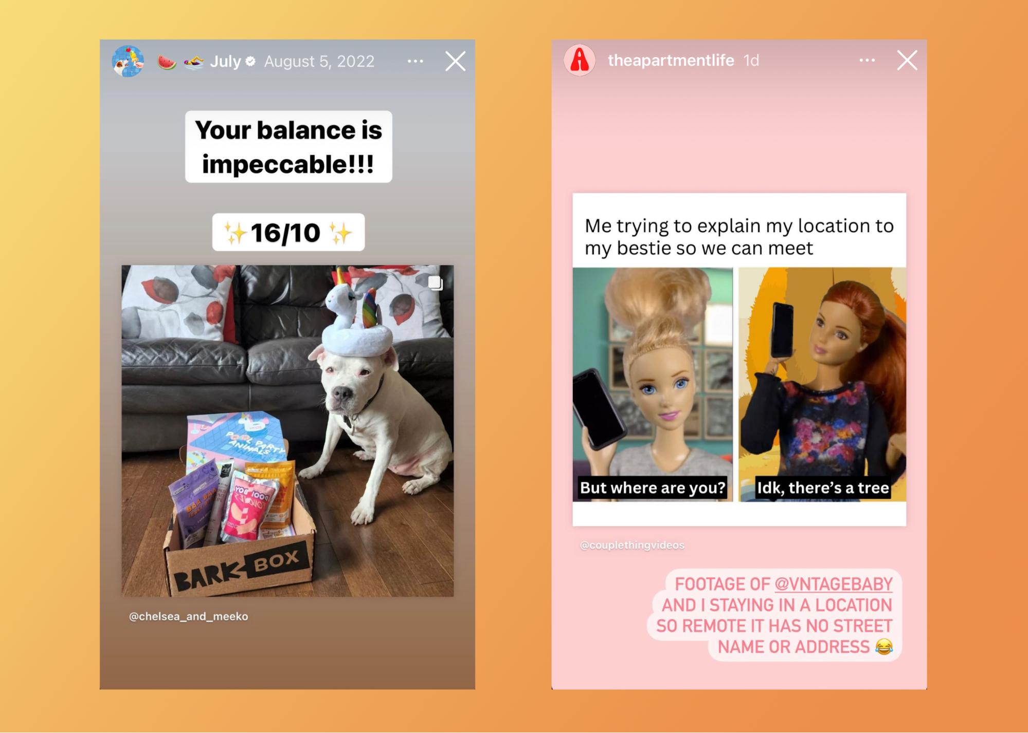 Stories from BarkBox and The Apartment put unique spins on "dog rating system" and "Barbie" memes.