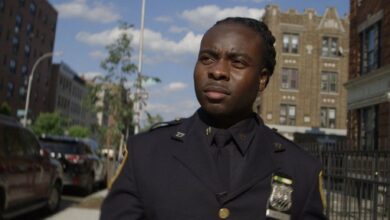 9 movies and shows that explain the American criminal justice system