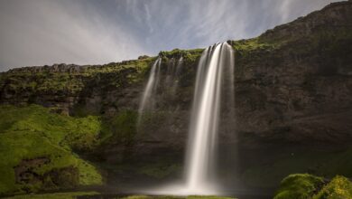 How Indian Americans Honor January 26 in New York