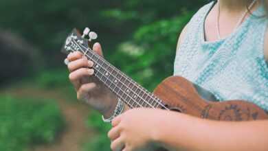 15 Best Ukulele Players of All Time