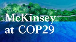 McKinsey at COP29