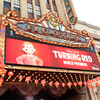 'Turning Red' is a turning point for Asians in film. Why is it seen as unrelatable?