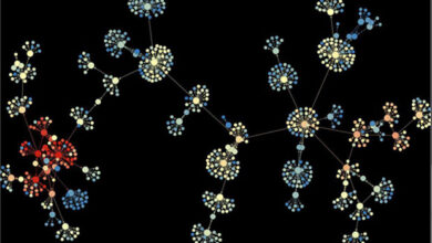 How much has our media ecosystem really been democratized? Research on viral effects, social media and news