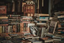 The Science of Storytelling: How Fiction Shapes the Mind